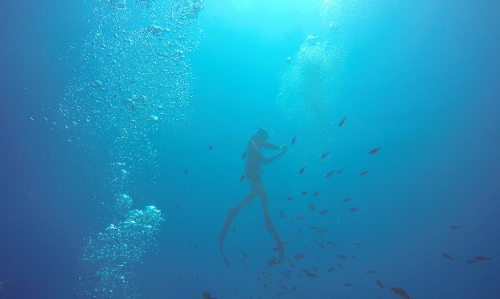 A freediver descending through blue water, surrounded by fish